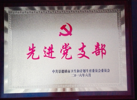 2016年先进党支部