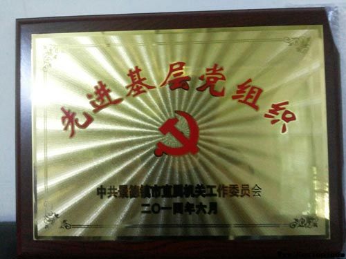 市五院党总支被市直工委评为先进基层党组织