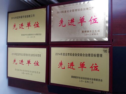 杏林芬芳党旗红——市五院党建工作纪略