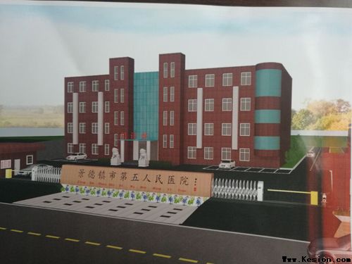 杏林芬芳党旗红——市五院党建工作纪略