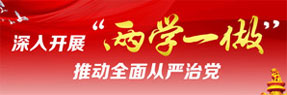 两学一做专题