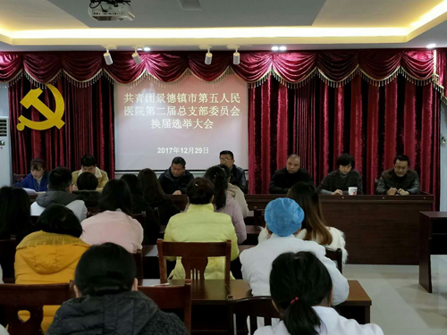 市五院第二届团总支换届选举大会取得圆满成功