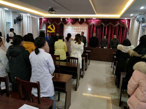 市五院第二届团总支换届选举大会取得圆满成功