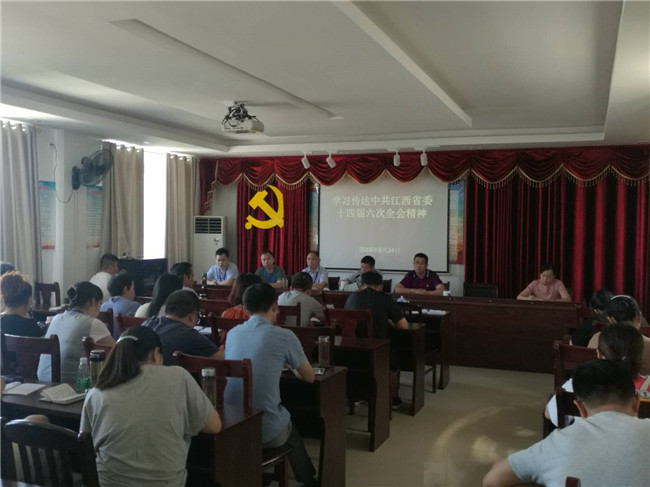 市五院学习传达中共江西省委十四届六中全会精神