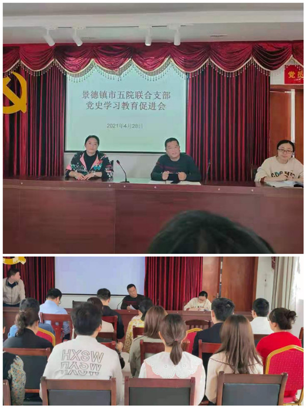 学党史、悟思想-----市五院联合党支部召开党史学习教育促进会