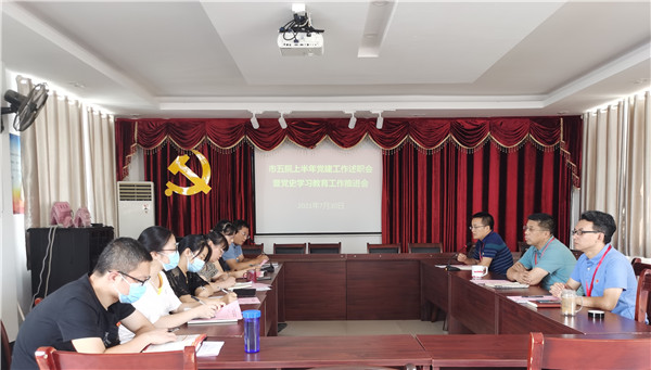 市五院召开上半年党建工作述职会暨党史学习教育推进会