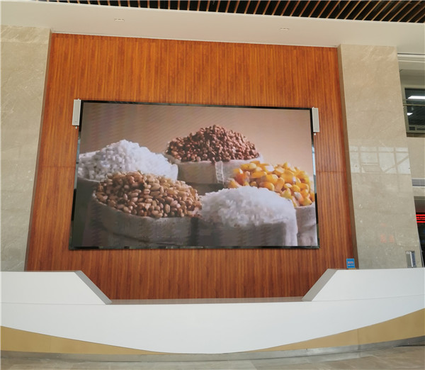 市五院开展世界粮食日和全国粮食安全宣传活动