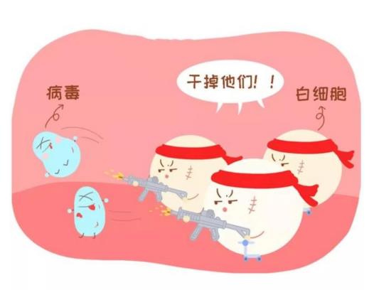 一分钟了解血常规之白细胞