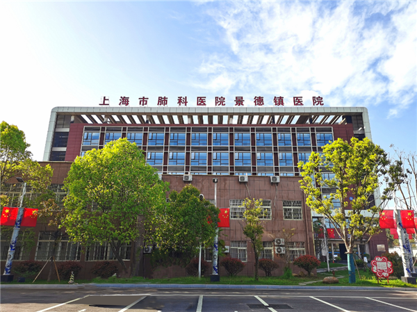 踔厉奋发谋新篇 笃行不怠向未来——市五院党总支部