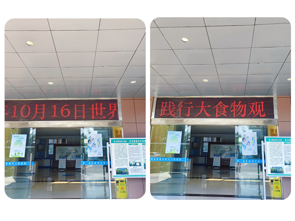 市五院开展世界粮食日和全国粮食安全宣传活动　　　　