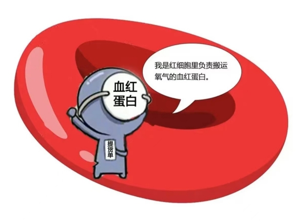 【健康科普】贫血类型有哪些？