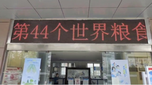 市五院开展世界粮食日宣传活动